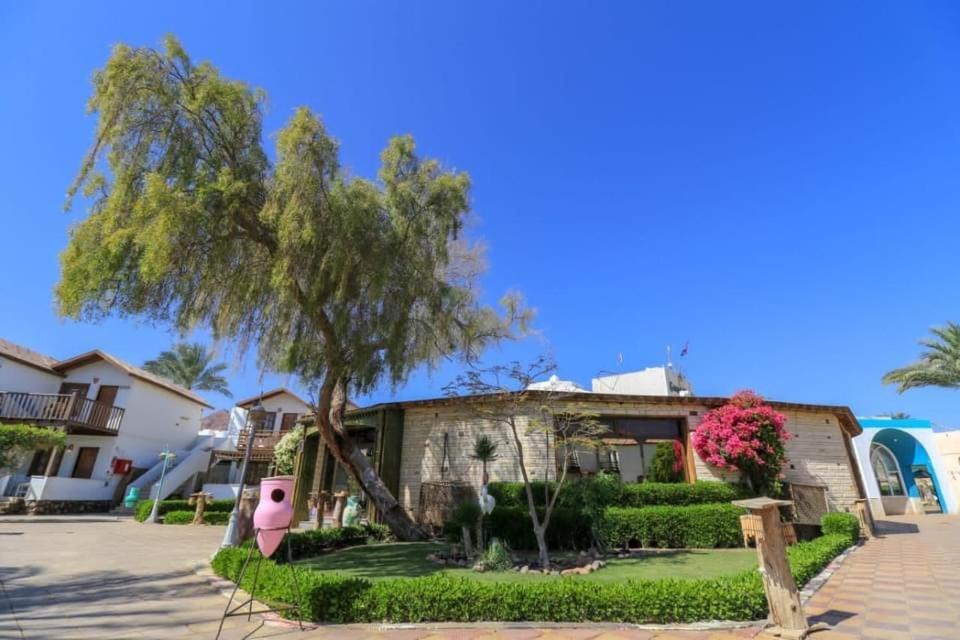 Ganet Sinai Resort Dahab Exterior photo